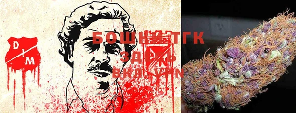 метадон Алексин