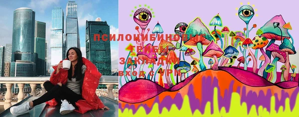 метадон Алексин