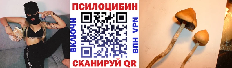 Псилоцибиновые грибы Cubensis  Чебоксары 