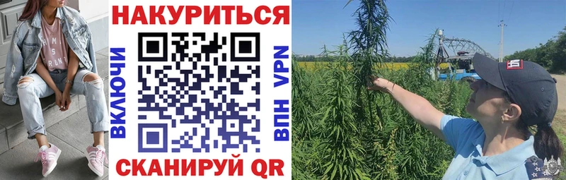 что такое наркотик  гидра ONION  Конопля SATIVA & INDICA  Чебоксары 
